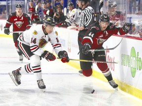 Defenceman Bowen Byram of the Vancouver GIants, right, works along the boards Friday night while being checked by Jake Gricius of the Portland Winterhawks. The GIants lost 4-2 at Langley Events Centre.