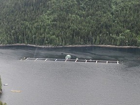 File photo of the Marine Harvest Salmon Farm at Doctor Islets in the Broughton Archipelago.