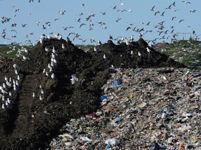 Thirty-six per cent of Metro Vancouver's garbage headed to landfills is produced at the residential level, while waste from businesses, industry, institutions and construction make up the largest portion.