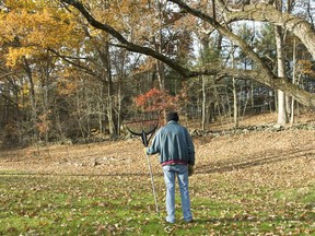 Fall garden chores ensure a clean, healthy, viable garden space now, as well as next year when spring arrives.