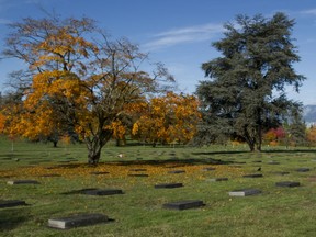 Changes are coming to the city bylaws that govern Mountain View Cemetery in East Vancouver.