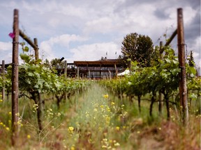 A Kelowna man has been charged with voyeurism and child pornography after a hidden camera was found in the washroom of Summerhill Winery, pictured in this file photo.