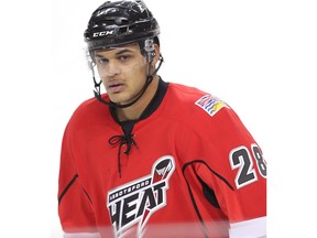 Abbotsford Heat's Akim Aliu against the Oklahoma City Barons during AHL hockey in Calgary, Alberta, Thursday February 9, 2012.