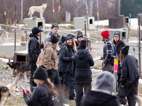 Animal rights protestors targeted two sled dog facilities near Canmore alleging they are mistreating the animals.