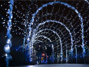 Friends walk through the tunnel of light while touring VanDusen Gardens 2018 Festival of Lights in Vancouver, BC, December, 17, 2018.