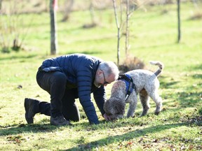 John Kelly and his truffle-hunting dog, Macchi.