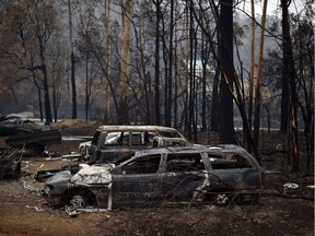 Charred vehicles gutted by bushfires in Mogo Village in Australia.