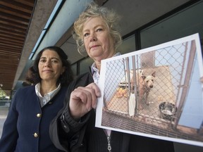 Lawyer Victoria Shroff (left) with client Susan Santics, whose dog Punky attacked someone in an off-leash park.