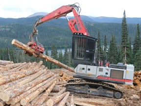 A Wet'suwet'en member operates machinery loading logs from a right-of-way clearing on behalf of Coastal GasLink in the fall of 2019. The machine is being operated 15 km west of work camp 9A on the Shea Creek Forest Service Road.
