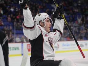 Trevor Longo celebrates his goal for the Vancouver Giants on Friday at against the Victoria Royals.