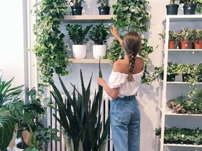 Houseplants bring a space to life, says Taylor Booth, co-founder of Mount Pleasant plant store West Coast Jungle.