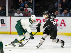 Milos Roman had the lone goal for the Vancouver Giants on Saturday in a 2-1 loss to the Everett Silvertips, a loss which ended the team's winning streak at 11 games. Photo: Chris Mast.