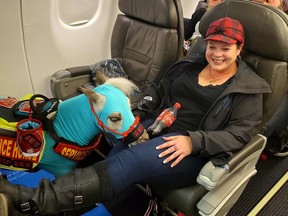 Ronica Froese and her horse, Freckle Butt Fred, on a flight. (Twitter)