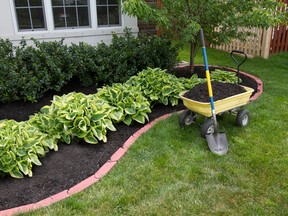 The very best way to find a topsoil or soil blend that will help to nourish your plantings significantly is to ask around the neighbourhood and among local gardeners.