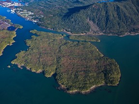 Petronas was looking to build the Pacific Northwest LNG project on Lelu Island near Prince Rupert, B.C.