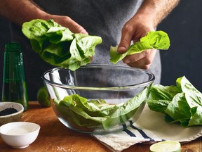 Grow your own lettuce and enjoy plenty of healthy salads right at home.
