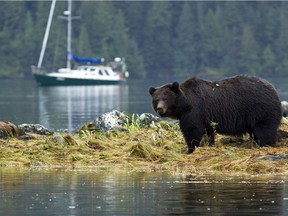 At a time when increased environmental pressures are leading to declining wildlife populations, lack of secure funding is unacceptable, says the B.C. Backcountry Hunters and Anglers.