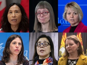 Top row (left to right): Canada's chief medical officer, Dr. Theresa Tam; Alberta's chief medical health officer Dr. Deena Hinshaw; Dr. Bonnie Henry, B.C.'s provincial health officer. Bottom row )left to right): Ottawa's Dr. Vera Etches; Toronto's Dr. Eileen de Villa; Dr. Jennifer Russell, New Brunswick.