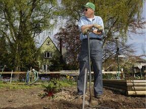 A 2010 photo of one of the Vancouver's original Second World War 'Victory Gardens', located at East Boulevard and Maple streets.