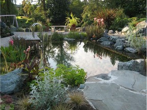 Backyard water features offer sound, movement and wonderful interest to your garden.