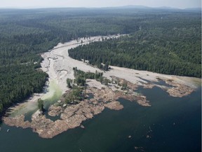 Contents from a tailings pond are seen going down Hazeltine Creek into Quesnel Lake near the town of Likely, B.C., in August, 2014.