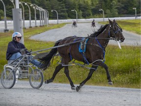 "Our plan is to start on time on Sept. 17 (in Cloverdale)," said Harness Racing B.C. president Randy Rutledge.