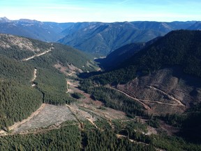 This photo shows the general area of the Upper Smitheram Creek Valley in the Donut Hole that Imperial Metals is proposing to explore. The Switchback logging road on the right of the photo is the road they want to extend. The forested mountains in the near distance are all in Manning Park. This photo was taken in the summer of 2018 when the cut blocks you can see were being logged by B.C. Timber Sales.