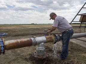 A farmer turns on the water for his irrigation line.