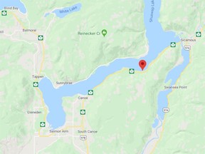 RCMP officers from both Sicamous and Salmon Arm responded to the scene near Bernie Road.