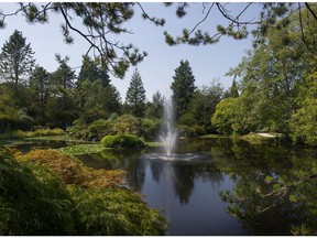 VanDusen Garden Fountain in Livingston Lake.