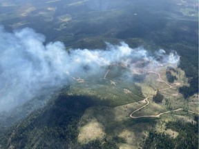 The Dry Lake wildfire north of Princeton, B.C. was reported on Aug. 2, 2020. [PNG Merlin Archive]