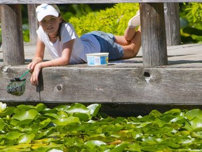 Children participate in at "pond peering" activity at a socially distanced day camp at VanDusen Garden,