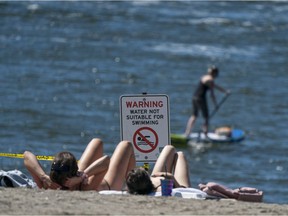 A paddle boarder take to the waters of Sunset Beach despite a warning sign alerting beach goers the water in the area is unfit for swimming in Vancouver, BC, August, 9, 2020.