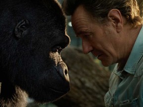 Ivan (voiced by Sam Rockwell) and Bryan Cranston as Mack in Disney's "The One and Only Ivan."