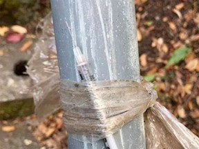 An uncapped syringe was found taped to a handrail at Beacon Hill Park on Sunday. Aug. 2, 2020