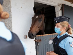 French gendarmes stand near a horse in a stable during a patrol at the "Ecurie du Levant" equestrian club in Grand-Laviers as horse mutilations and killings put the French countryside on alert, France, Sept. 10, 2020.