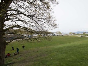 Sunset Beach Park in Vancouver's West End.