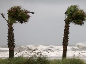 Palm trees sway in the wind as Hurricane Sally approaches in Gulf Shores, Alabama, U.S., September 15, 2020.