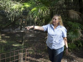 In this July 20, 2017, file photo, Carole Baskin, founder of Big Cat Rescue, walks the property near Tampa, Fla.