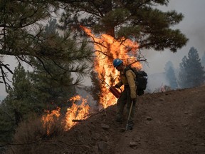 Brendan O'Reilly of the Prineville Hotshot Crew takes part in a firing operation on the sidelines of the Brattain Fire in the Fremont National Forest in Paisley, Ore., on Sept. 18, 2020.