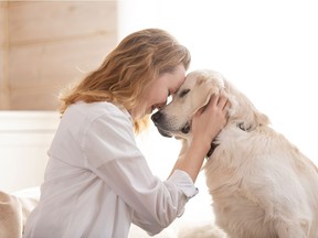 There are two separate options where pets may be exempt or accommodated under the Strata Corporations Bylaws. Getty Images