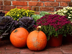 There's a variety of ways to roast pumpkin seeds for an easy snack this Halloween.