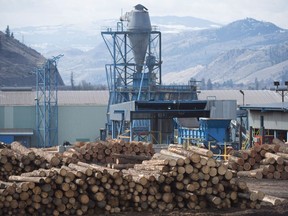 Close to 9,900 B.C.-based companies supply goods and services to the forest industry, and according to a study commissioned by the B.C. Council of Forest Industries, the value of those goods and services totalled $7 billion in 2019.
