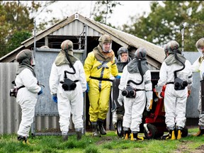 Employees from the Danish Veterinary and Food Administration and the Danish Emergency Management Agency in protective equipment are seen amid the coronavirus disease (COVID-19) outbreak at a mink farm in Gjoel, North Jutland, Denmark Oct. 8, 2020.