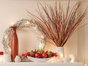 Branches of shrub dogwoods look amazing cut and brought indoors as a décor feature.