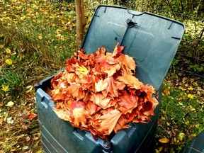 Garden leaves work well as a covering to protect soil from harsh winter weather.