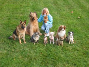 Bonnie Judd, head trainer and wrangler for Canine Co-Stars, a B.C.-based animal wrangling agency, with some of her ‘stars.’ Judd is looking forward to a return to healthier times, ‘when everyone can hug each other, as well as the animals, when we meet on set.’