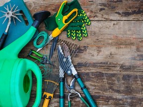 Digging and weeding tools are required to create a new space to grow flowers and vegetables,