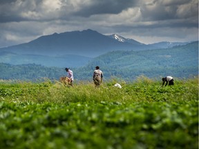 Polls consistently rank farmers as one of the most trustworthy professions in the country.