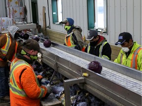 In Canada, migrant workers play a vital role in supporting industries critical to the Canadian economy, including the agriculture industry.